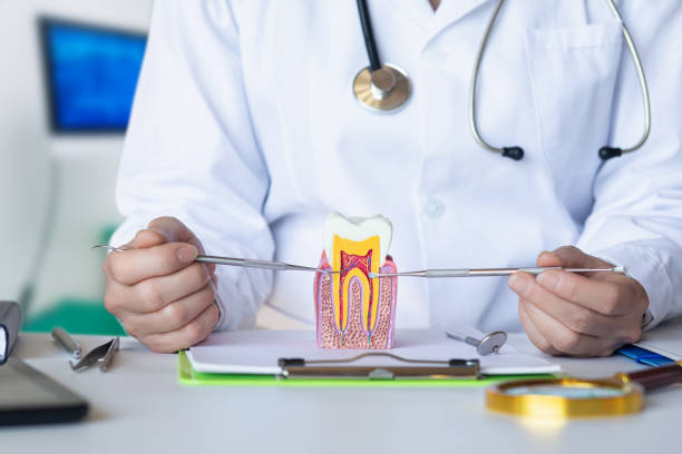 Best Emergency Dental Care for Trauma or Injury in Napervle, IL